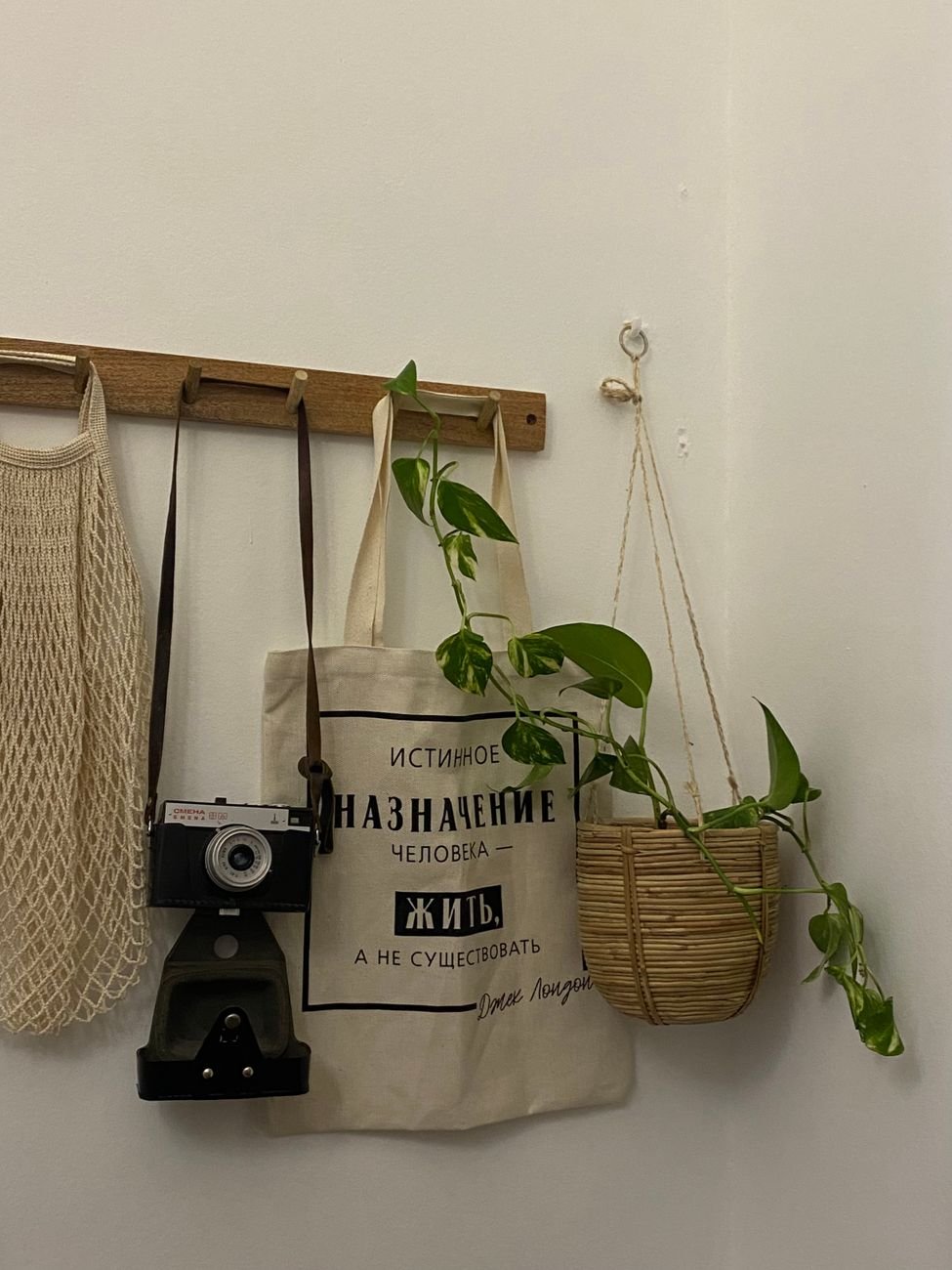 Bags and hats hanging on hooks on a wall
