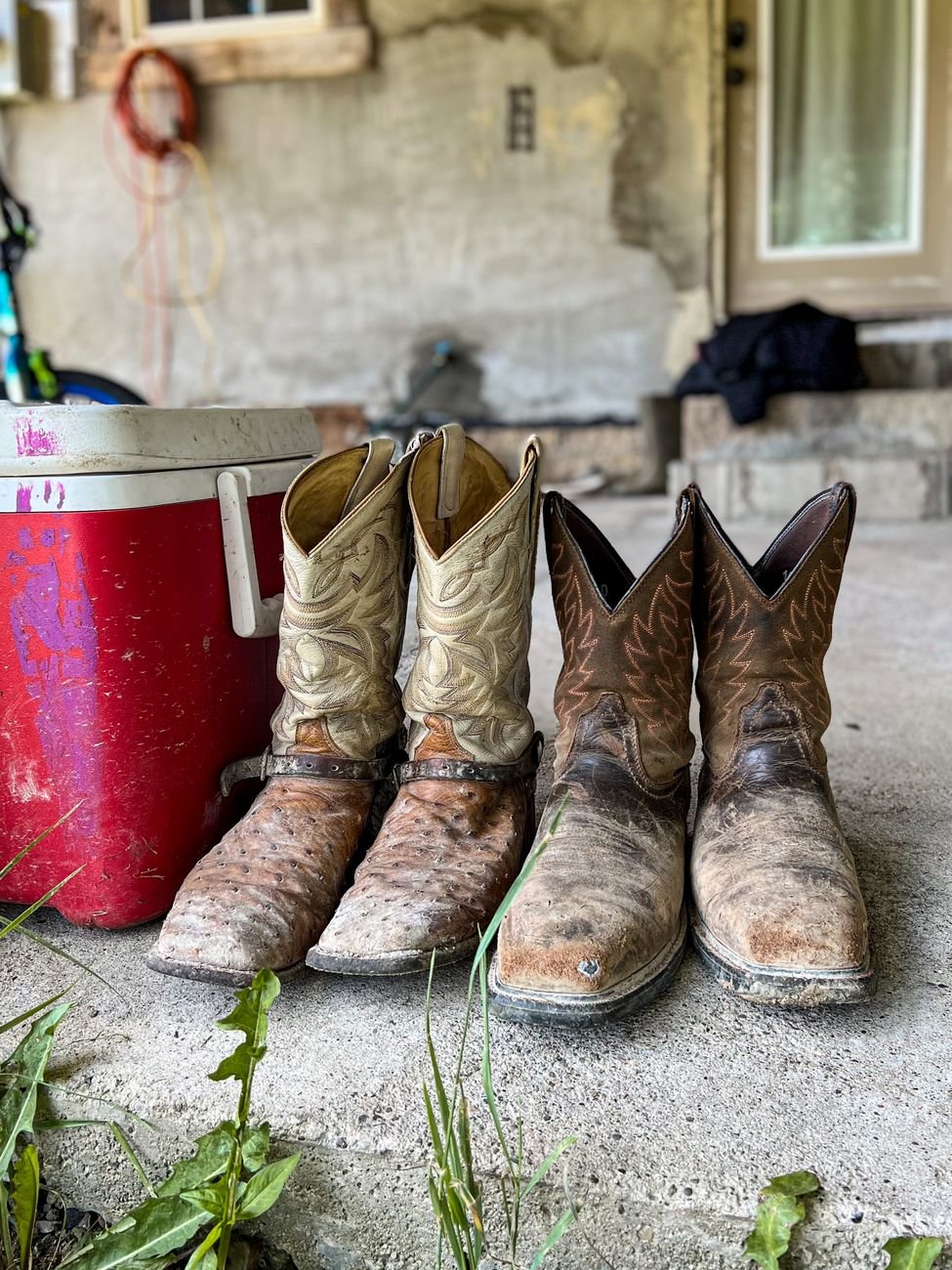 Boots and shoes lined up on a tray by the door