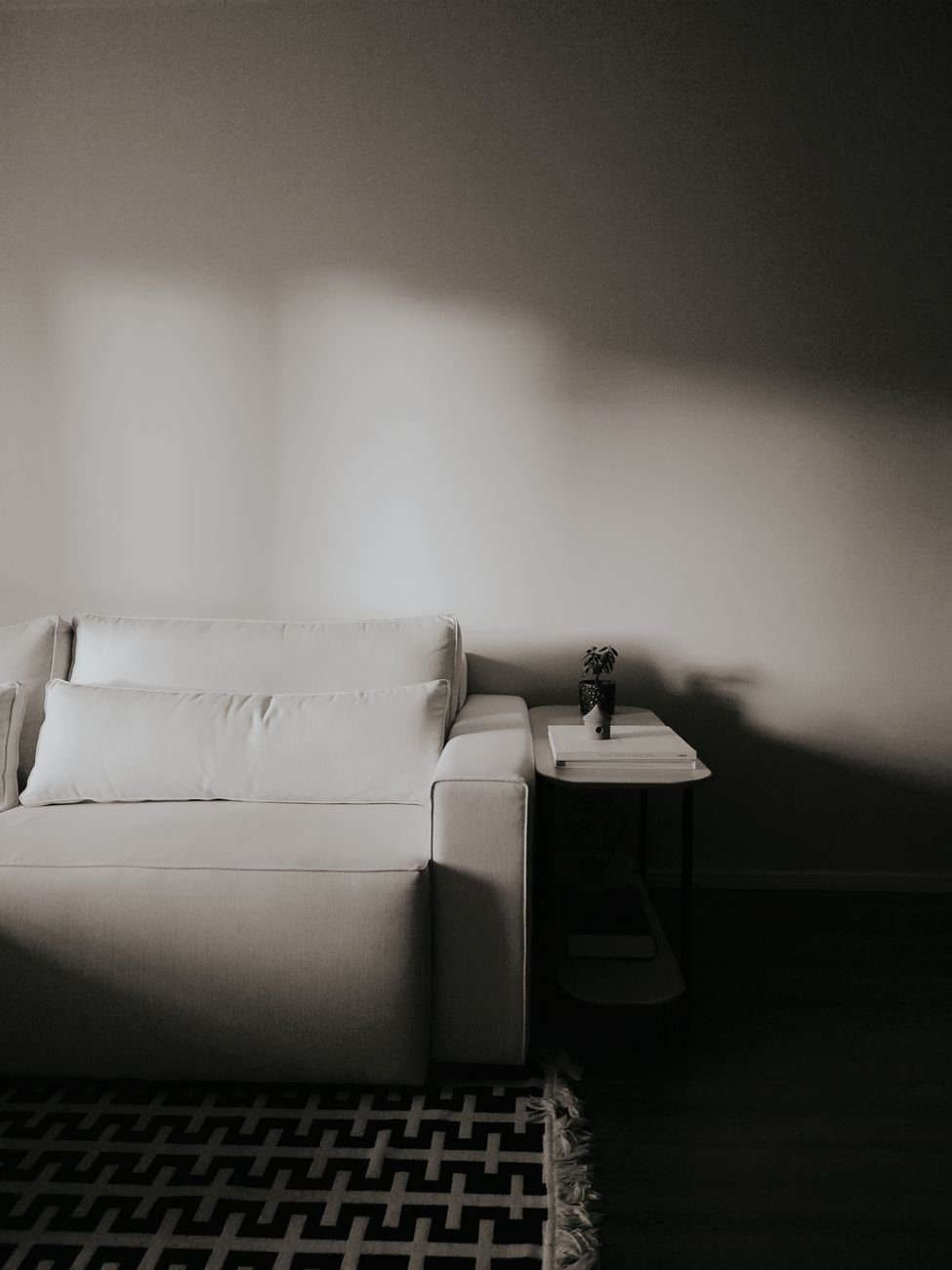 A fabric couch with cushions in a tidy living room