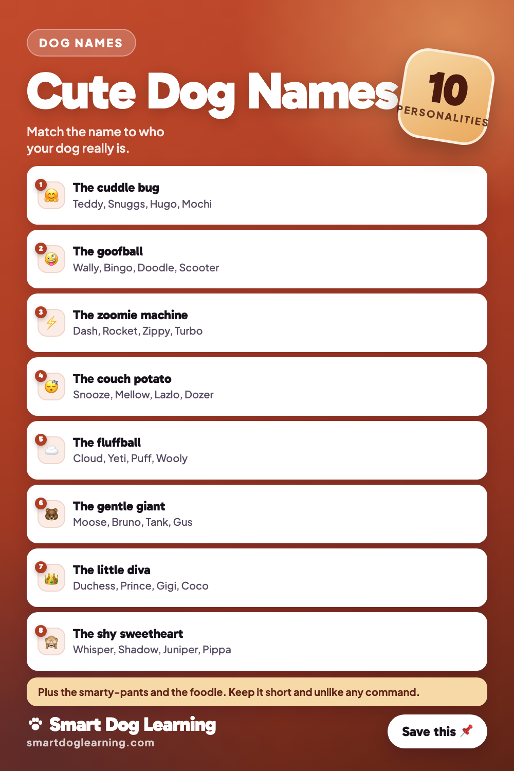Cute Dog Names for Every Personality