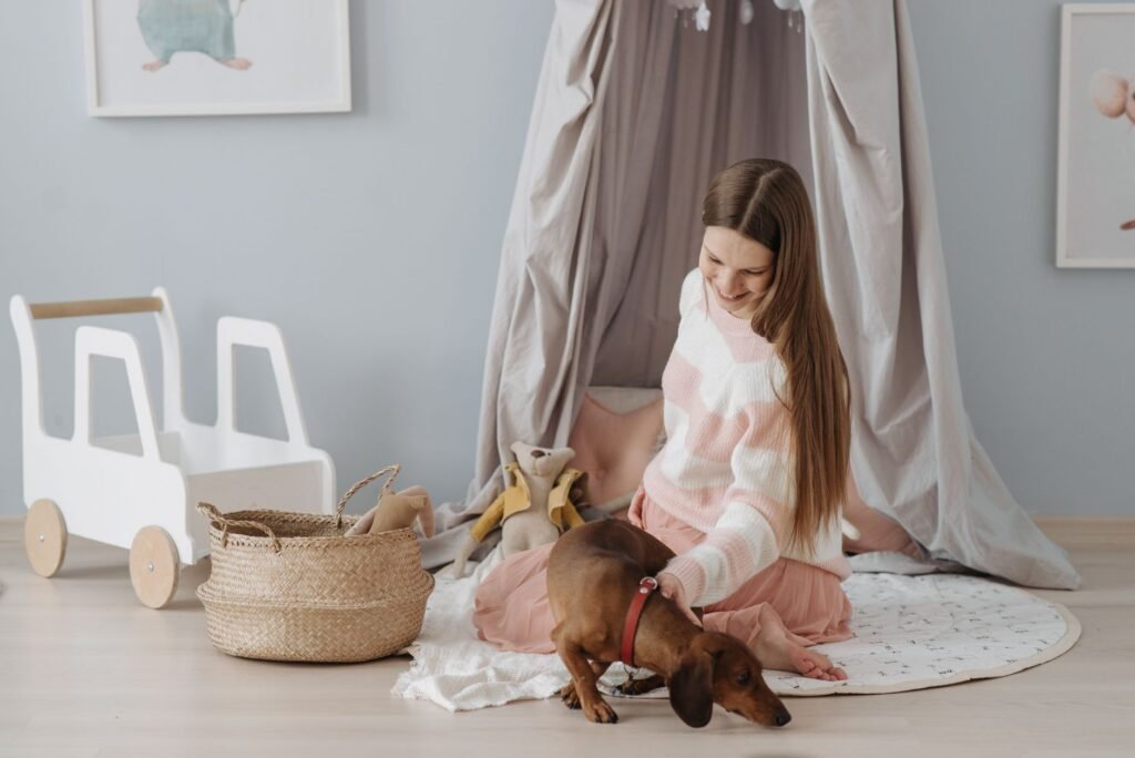 Declutter Your Pet Supplies: What to Keep, Donate or Toss
