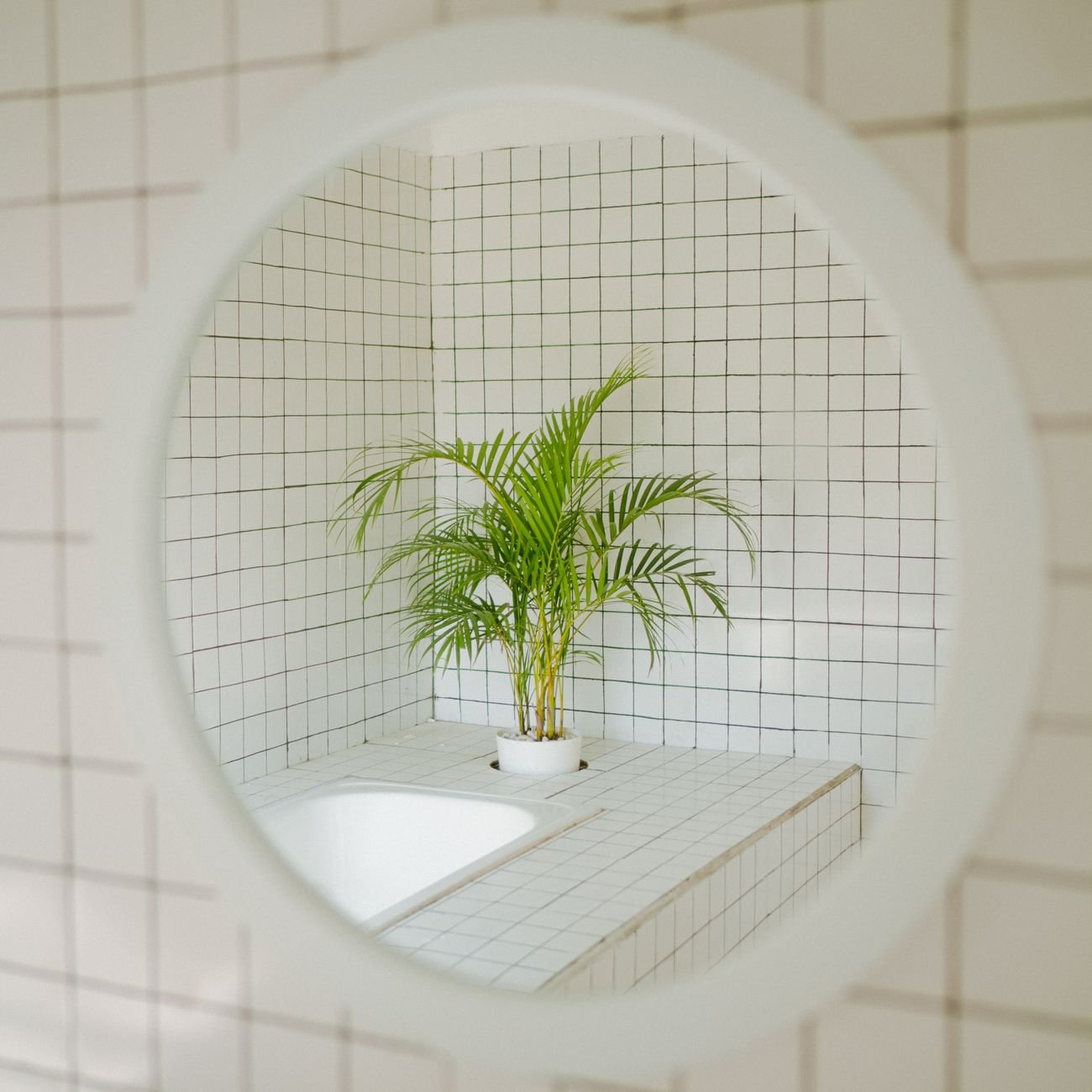 A clean, bright bathroom with white tiles