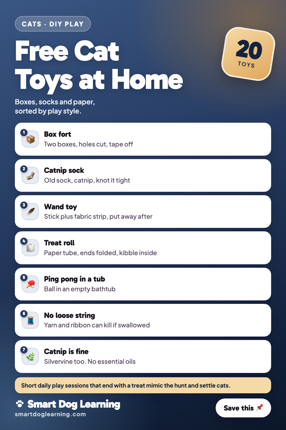 DIY Cat Toys: 20 Toys From Things You Already Have