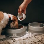 DIY Dog Food Station (Built-In and Renter-Friendly)