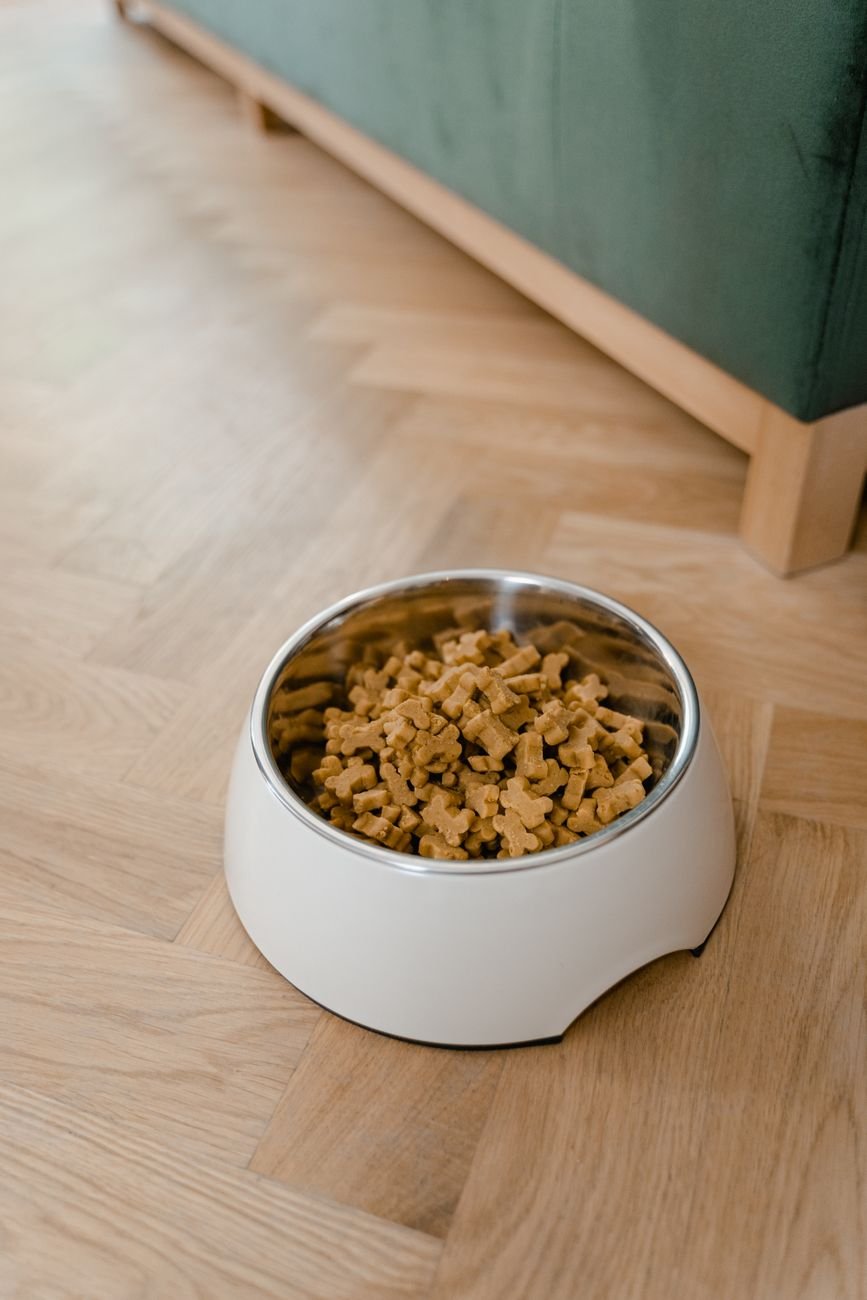 Stainless steel dog bowls on a mat