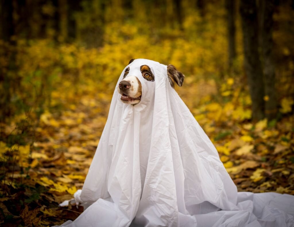 DIY Dog Halloween Costumes You Can Make in 10 Minutes