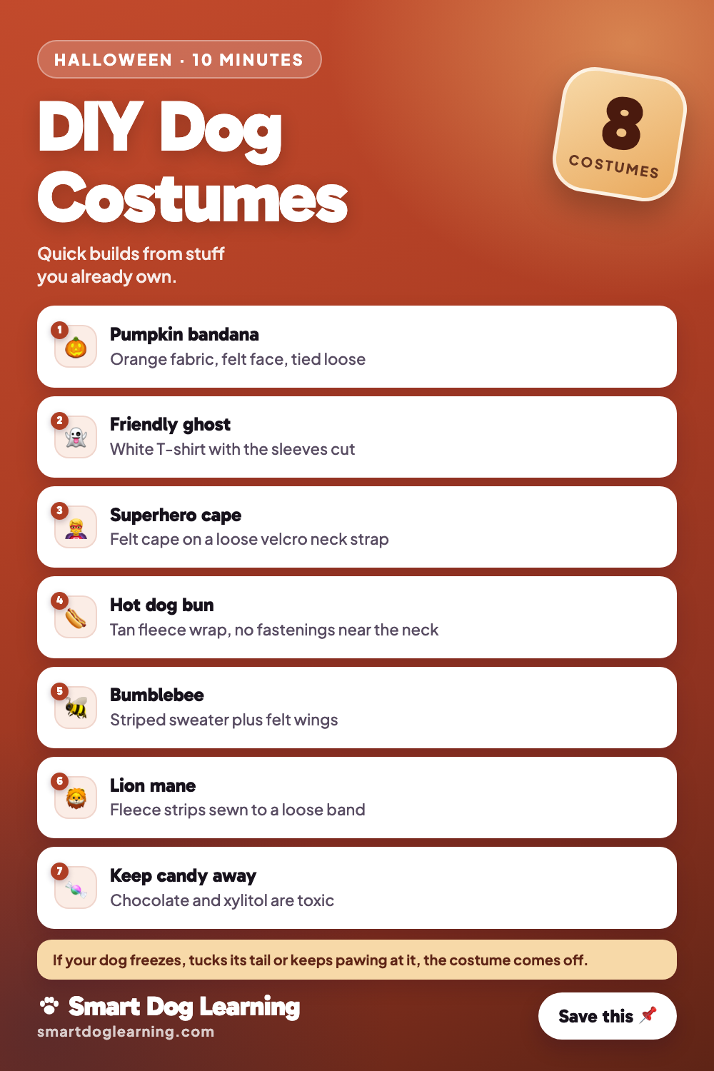 DIY Dog Halloween Costumes You Can Make in 10 Minutes