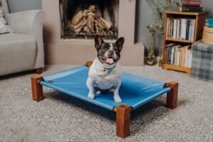 DIY Raised Dog Bed (Cool in Summer)