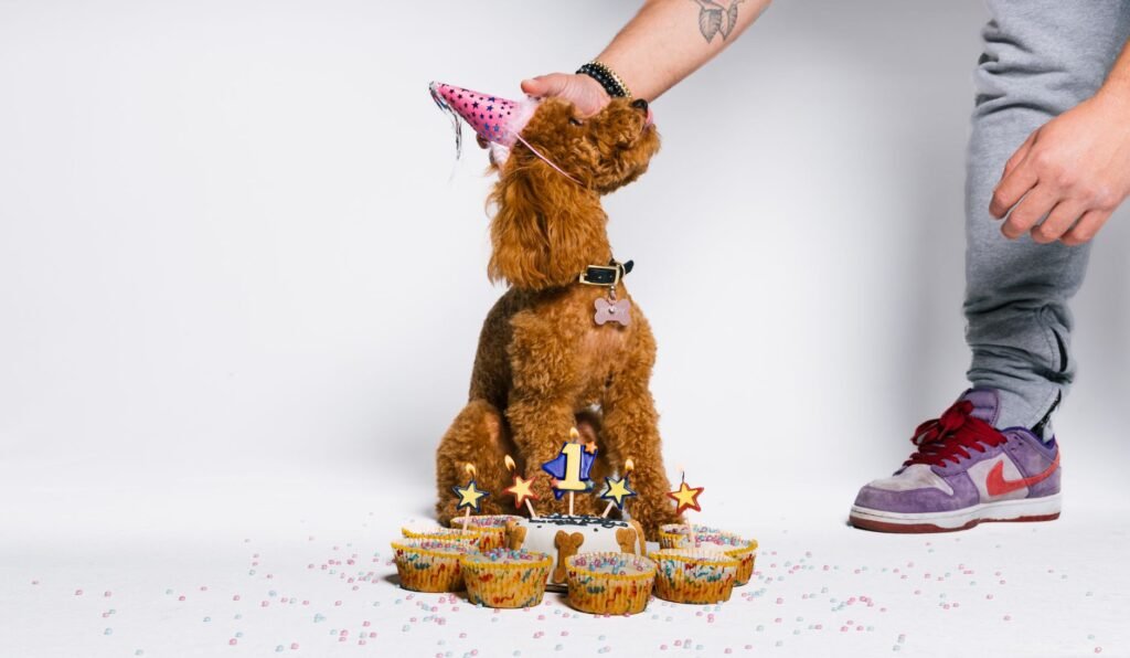 Dog Birthday Cake Recipe (Dog-Safe, No Added Sugar)