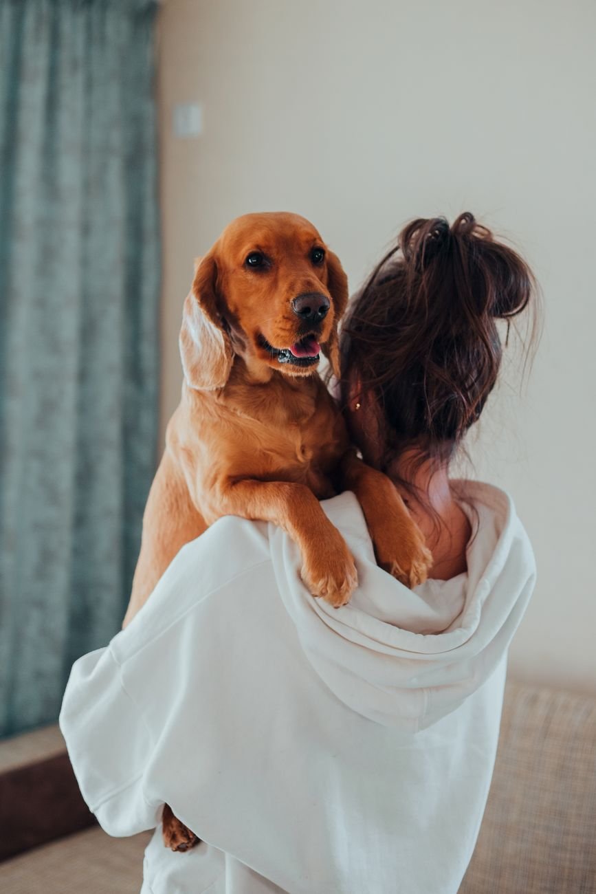 A person hugging their dog at home