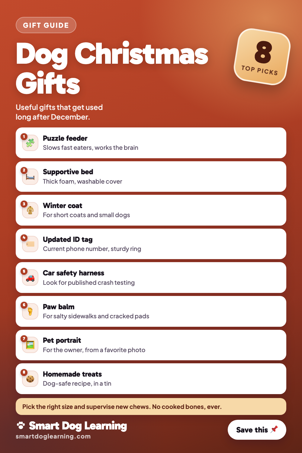 Dog Christmas Gifts: Practical Ideas Dogs and Owners Love