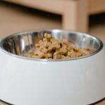 Dog Food Storage Ideas That Keep Kibble Fresh