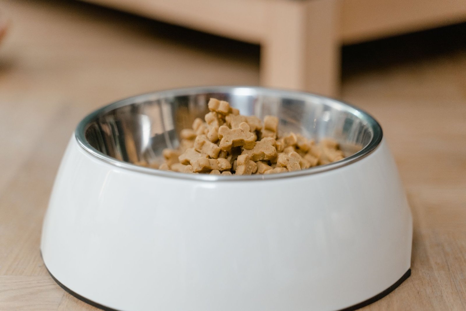 A dog sitting next to a bowl of dry kibble in a tidy kitchen