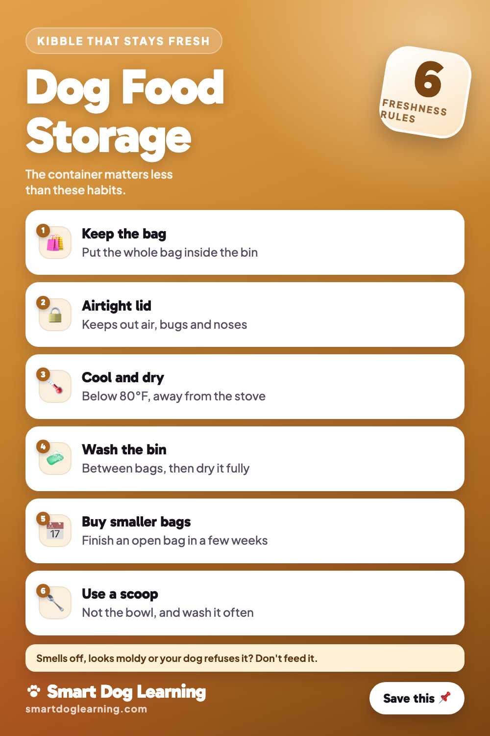 Dog Food Storage Ideas That Keep Kibble Fresh