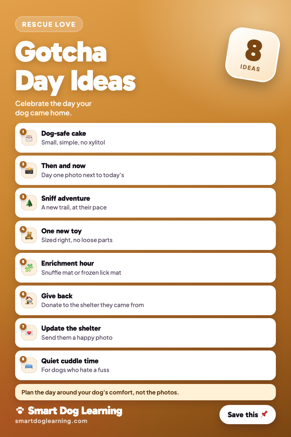 Dog Gotcha Day Ideas to Celebrate Your Rescue
