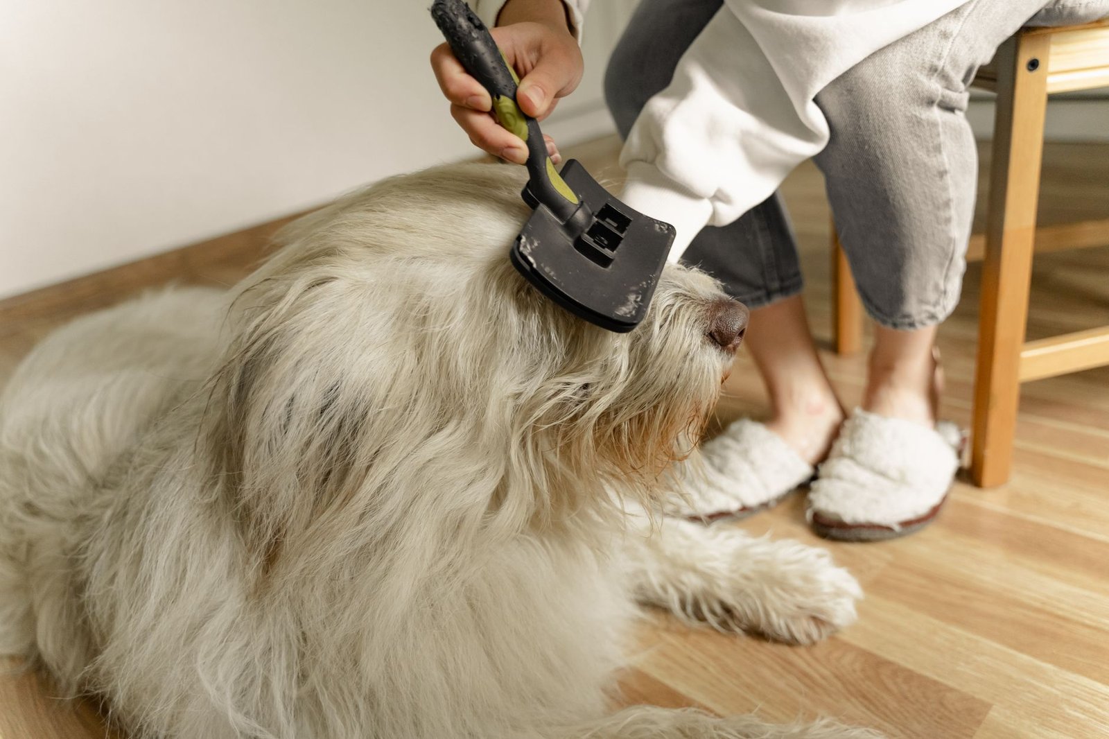 A person brushing a happy dog at home