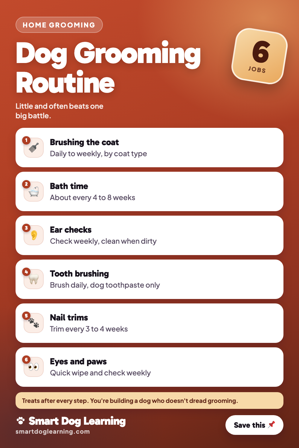 Dog Grooming at Home: A Beginner Guide