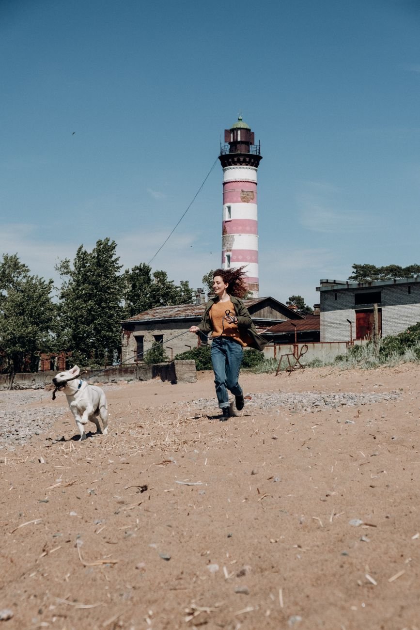A dog running toward its owner in a park