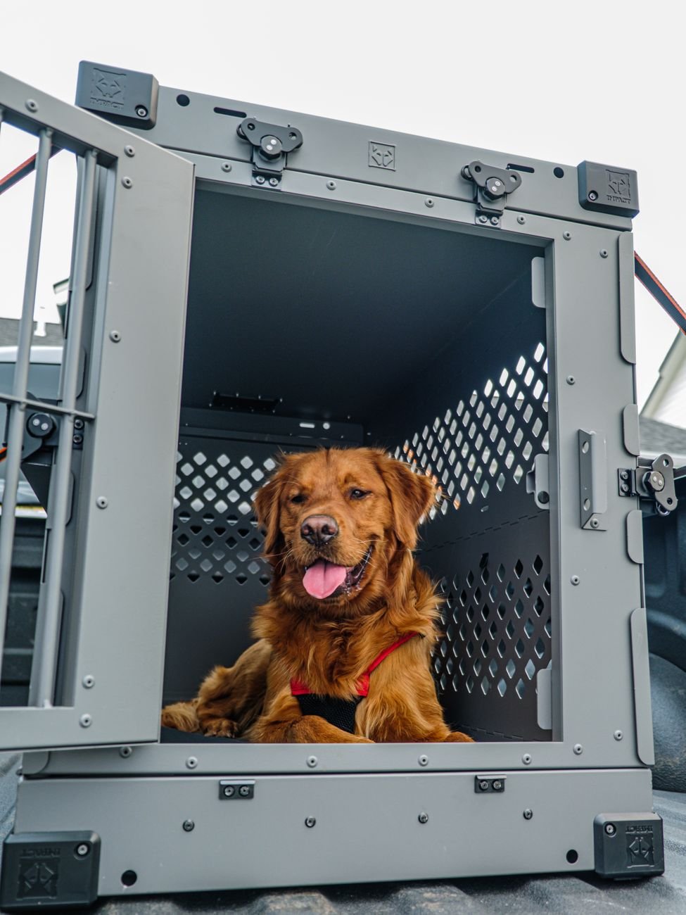 A dog relaxing in an open crate