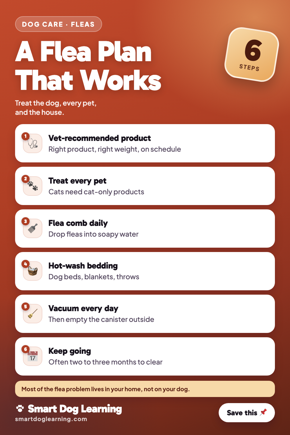 Flea Remedies for Dogs: What Works, What Doesn't, What's Dangerous