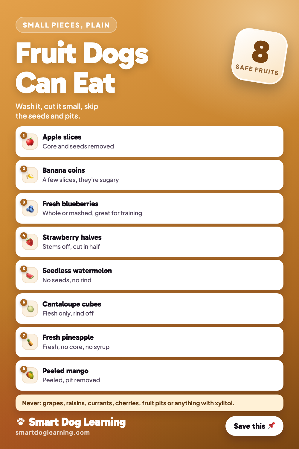 Fruit Dogs Can Eat (and the Ones They Can't)