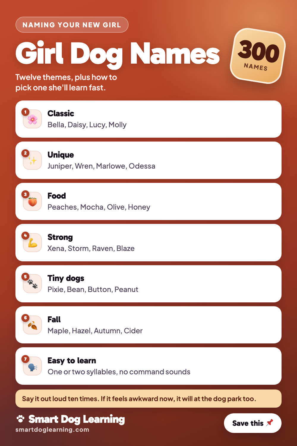 Girl Dog Names: 300 Ideas From Classic to Unique