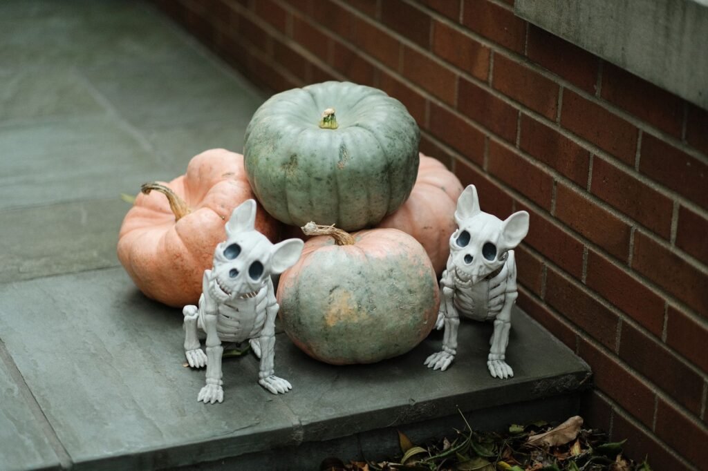 Halloween Dog Treats: Pumpkin Bones and Boo Bites