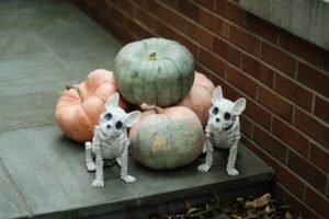 Halloween Dog Treats: Pumpkin Bones and Boo Bites