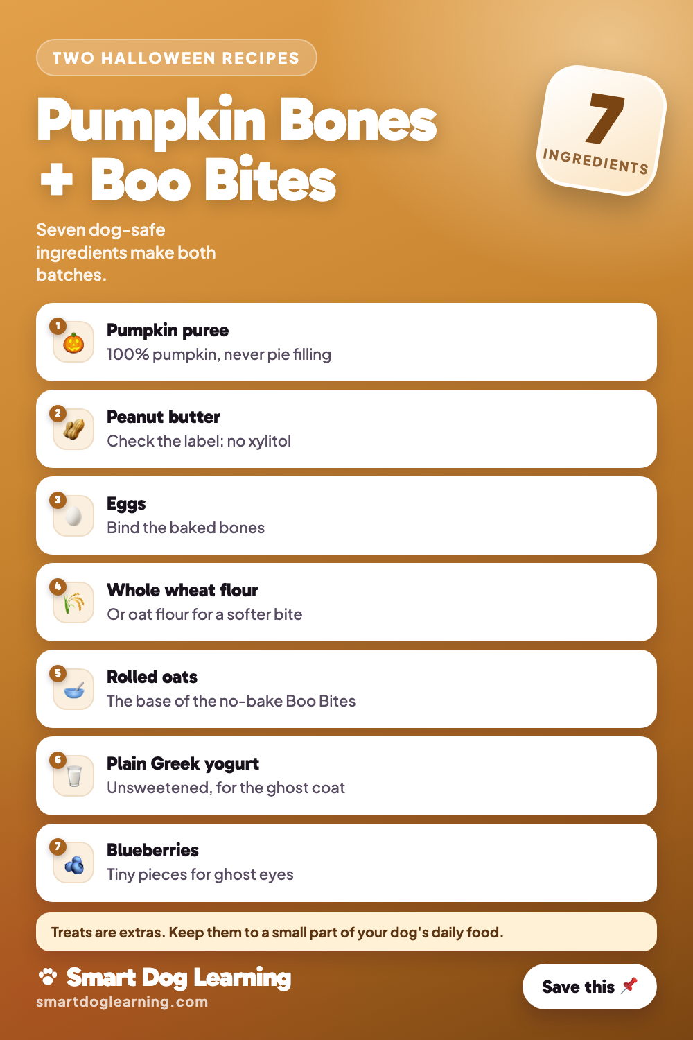 Halloween Dog Treats: Pumpkin Bones and Boo Bites
