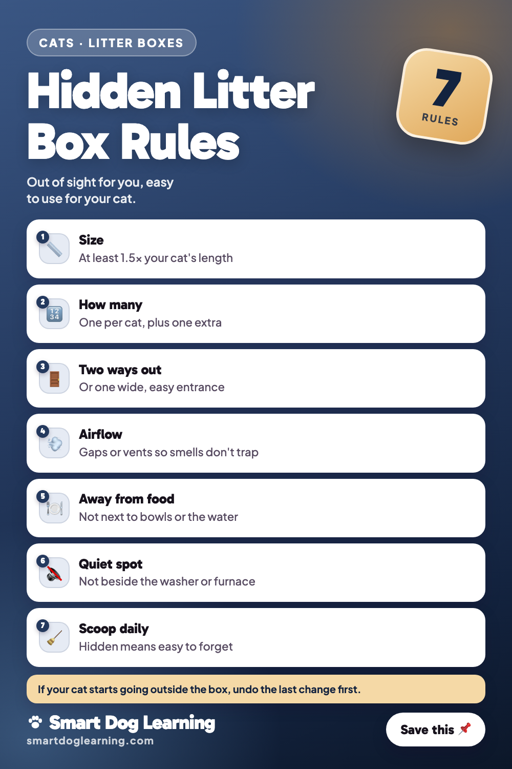 Hidden Cat Litter Box Ideas That Actually Work