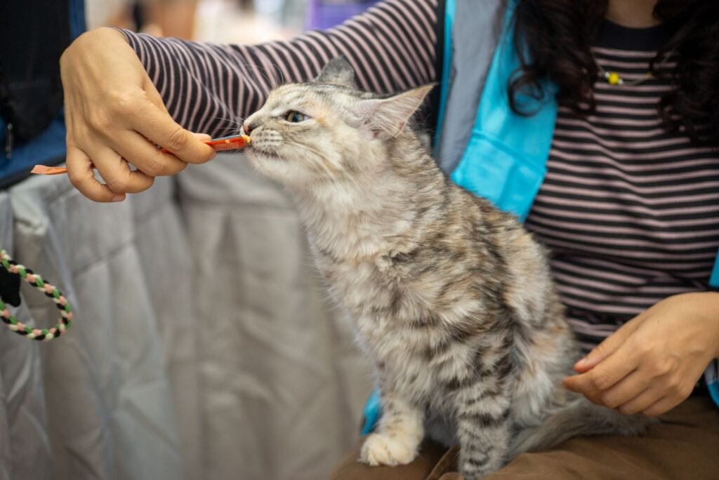 Easy Homemade Cat Treats (3 Ingredients or Less)