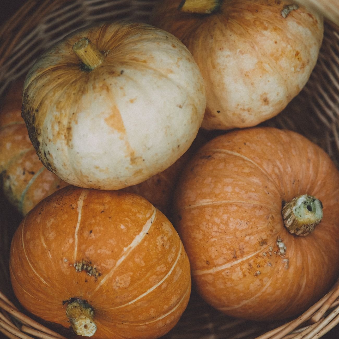 A bowl of plain pumpkin puree with a spoon