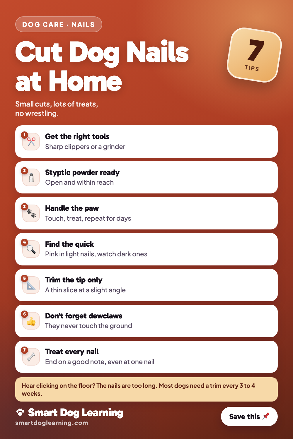 How to Cut Dog Nails at Home Without Stress