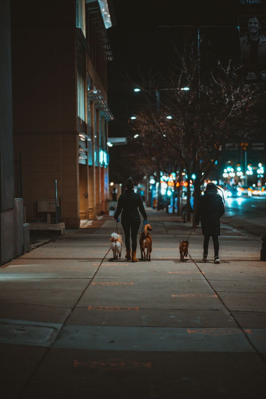 A dog on a leash walking at night under a streetlight