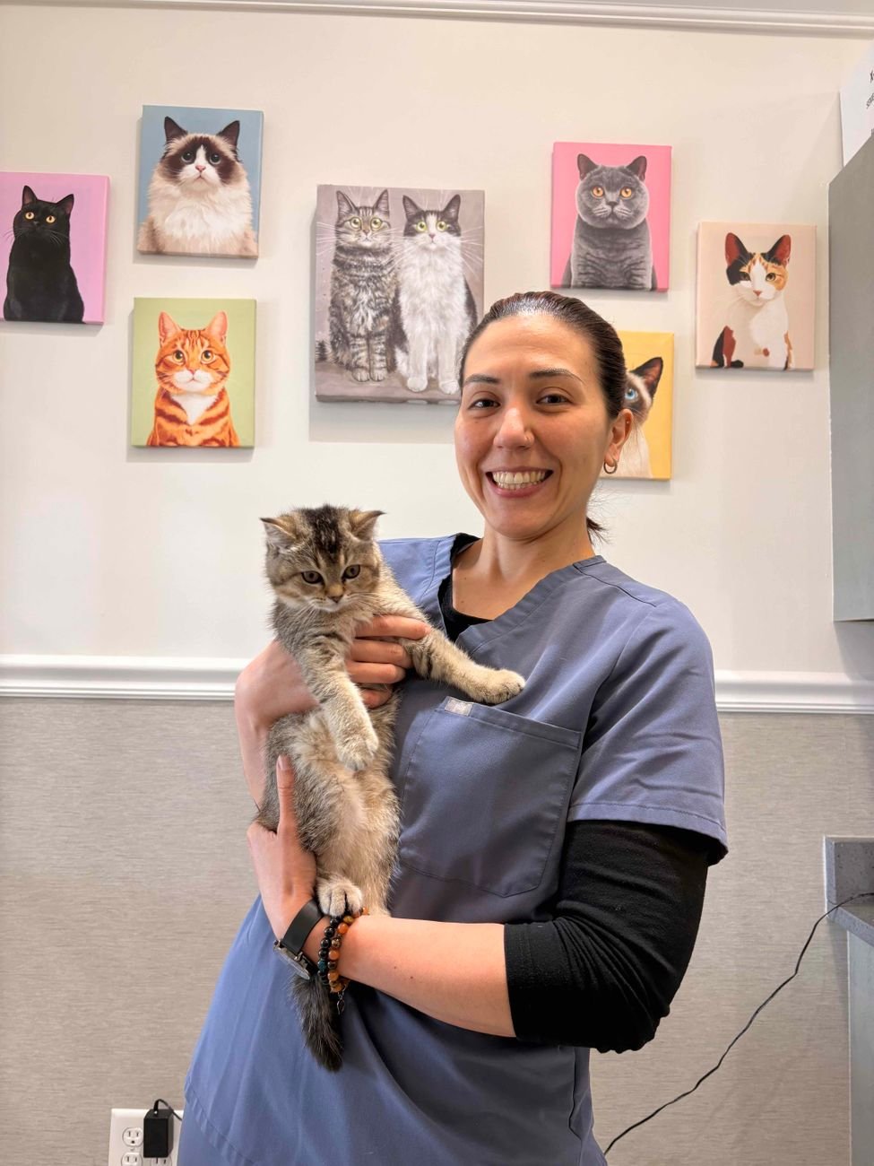 A vet holding a kitten