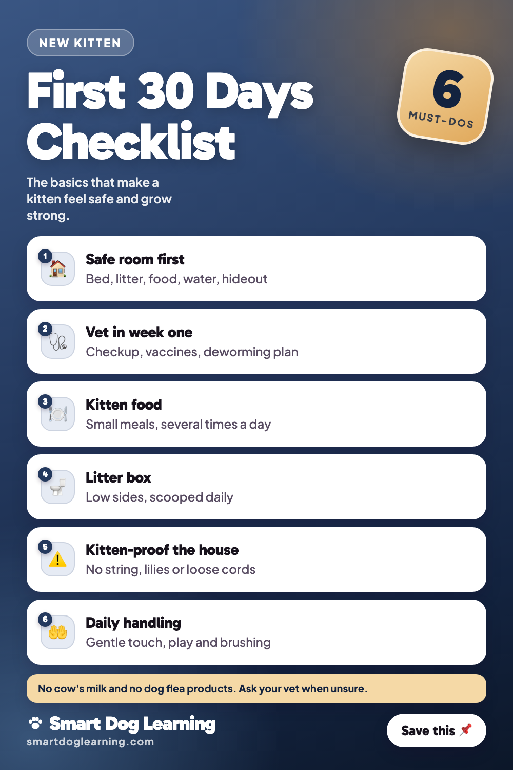 Kitten Care: The First 30 Days