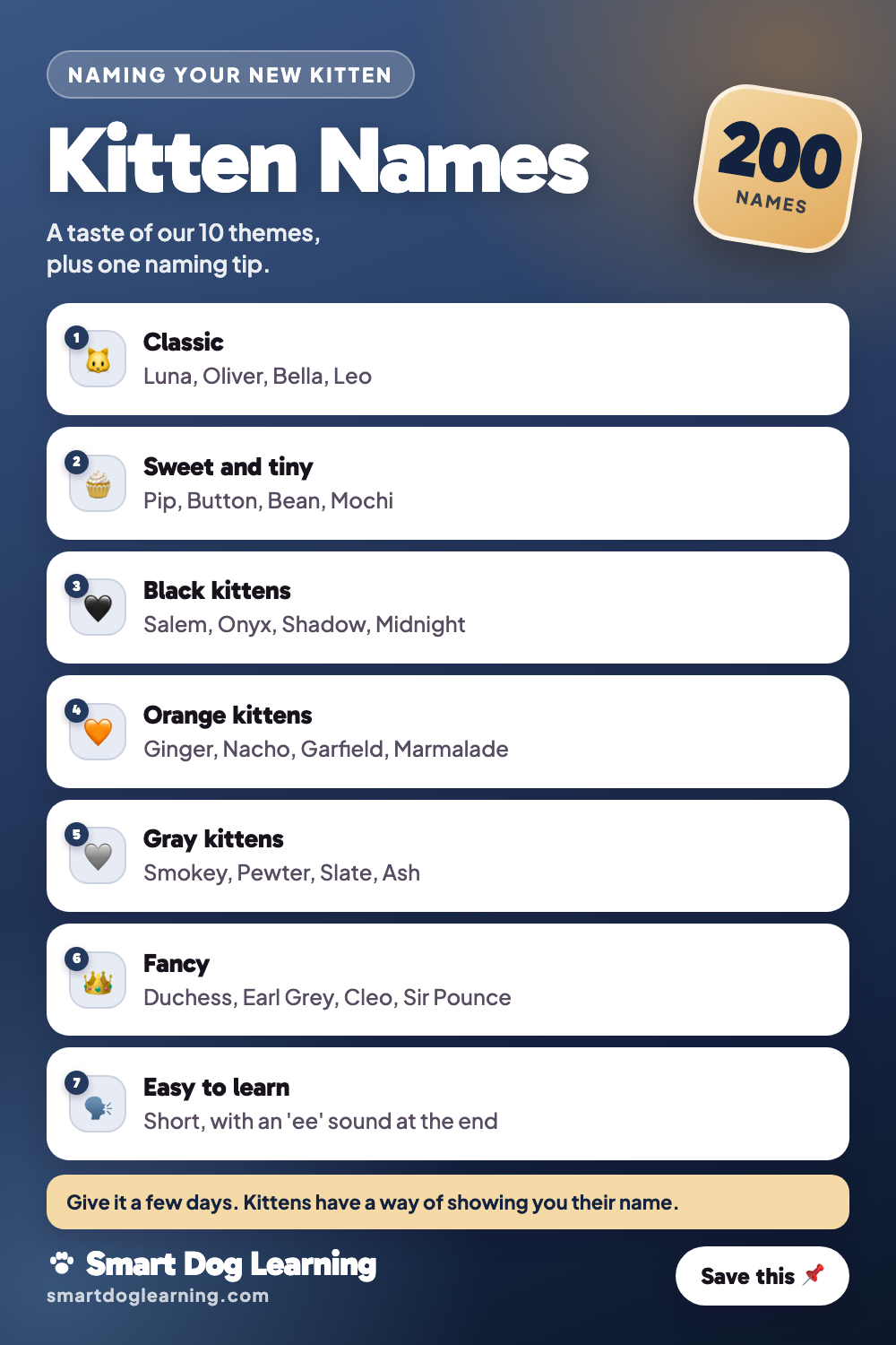 Kitten Names: 200 Cute Ideas