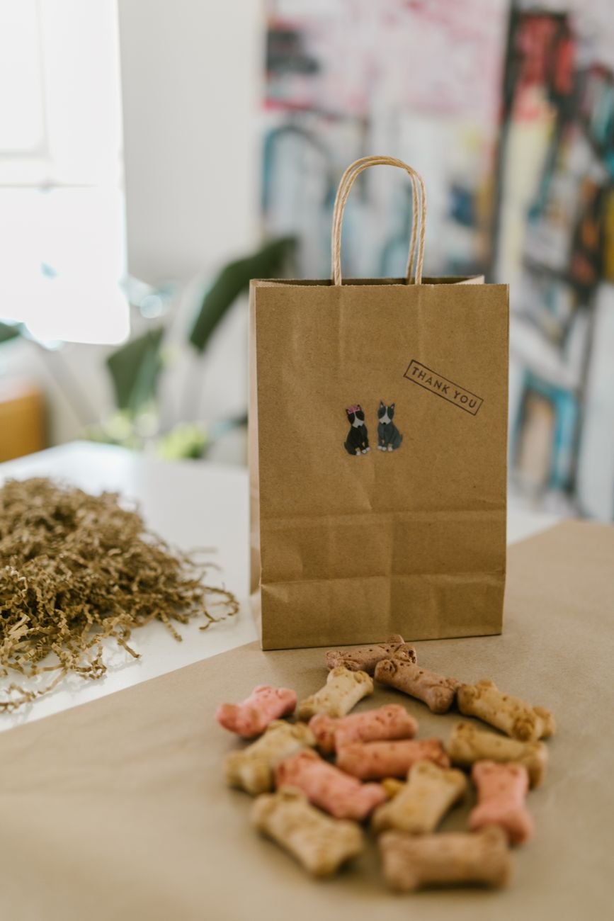 Homemade bone-shaped dog treats next to a paper bag