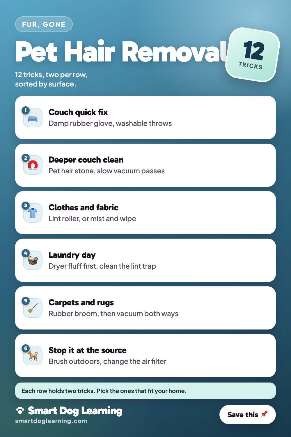 Pet Hair Removal: 12 Tricks for Furniture, Clothes and Carpets