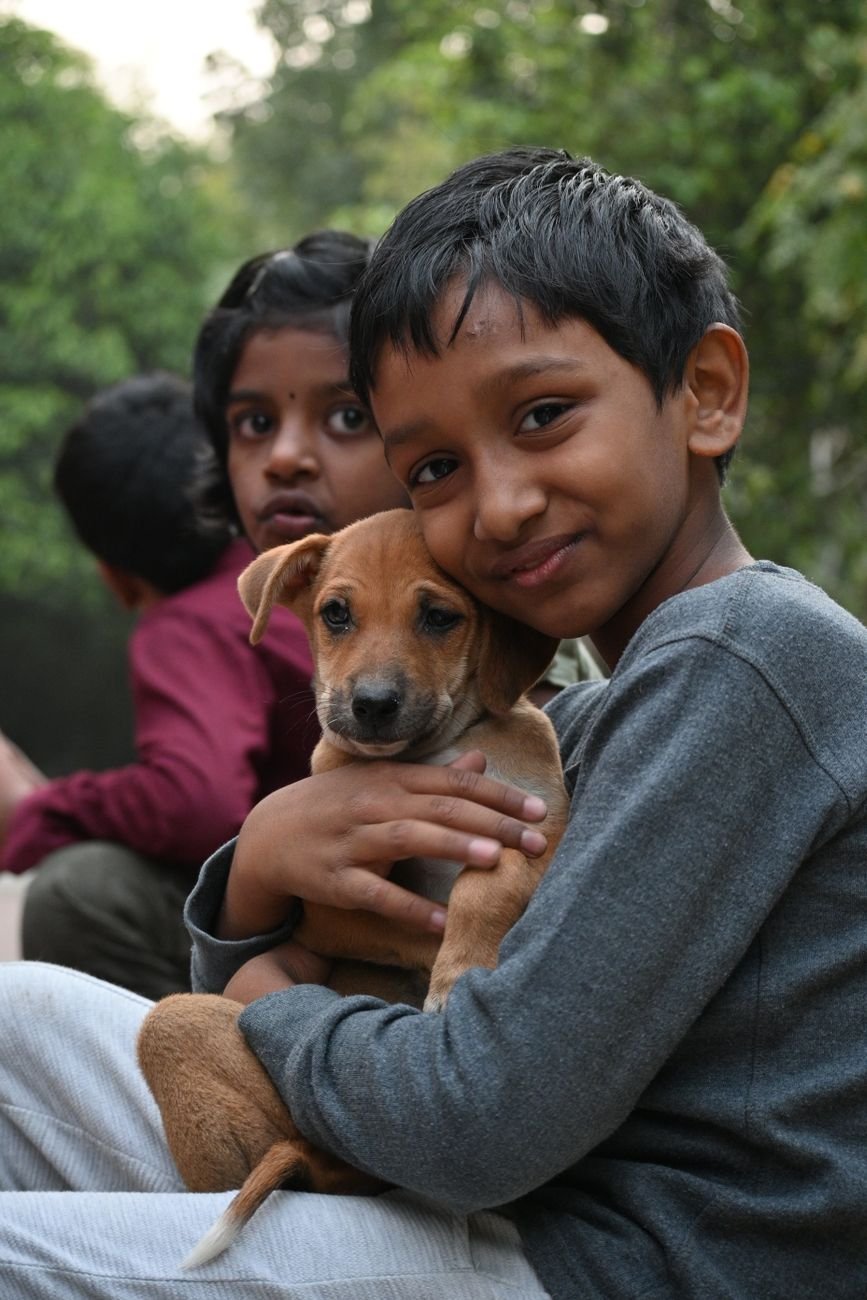 A puppy lying on the floor next to a child playing