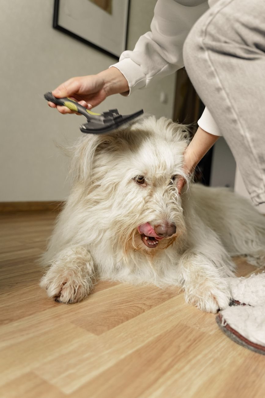 A puppy being gently brushed