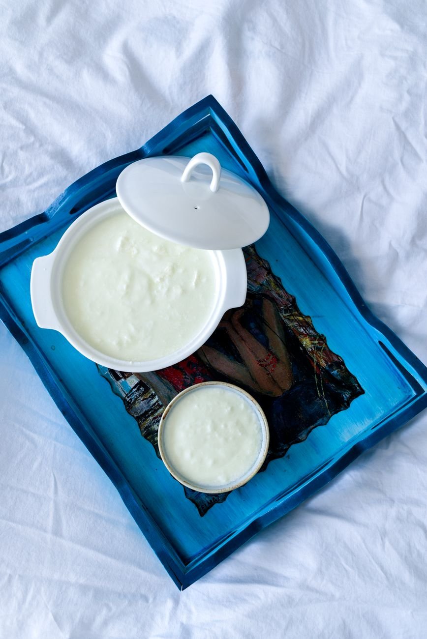 Bowls of plain yogurt