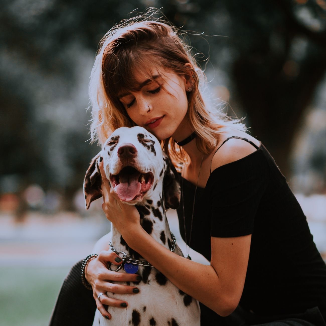 An owner hugging an older dog on the couch