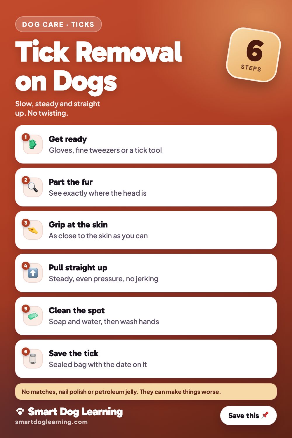 Tick Removal on Dogs: Step by Step