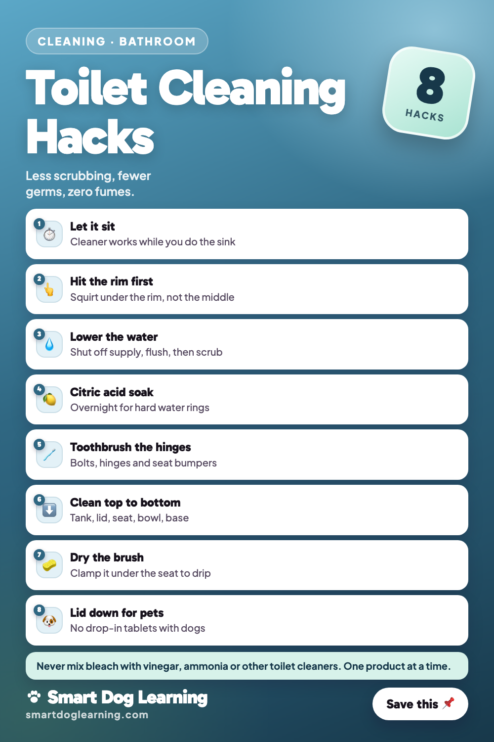 Toilet Cleaning Hacks (and the One Mix You Must Never Use)