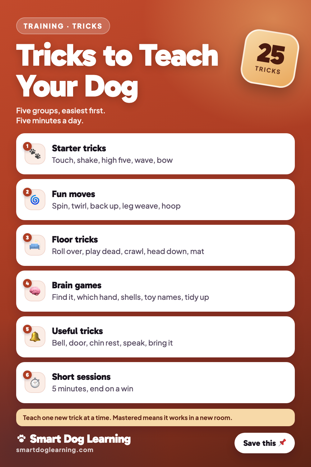 Tricks to Teach Your Dog: 25 Fun Ideas