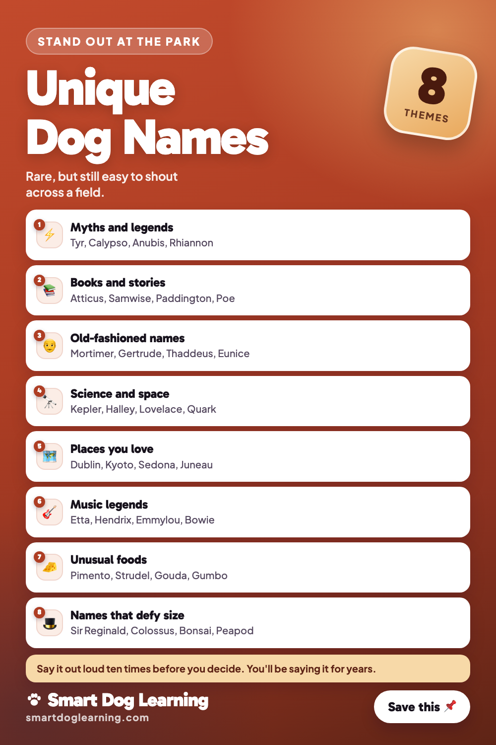 Unique Dog Names Nobody Else at the Park Has